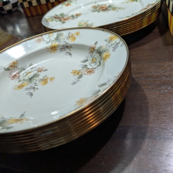 Dinner Plates - Picture 1 of 6